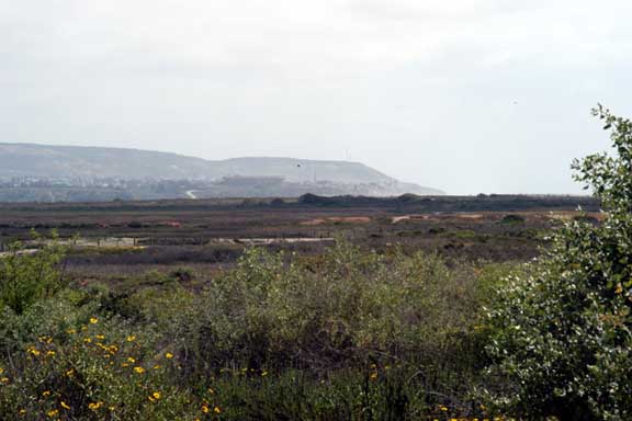 Tijuana Estuary View South